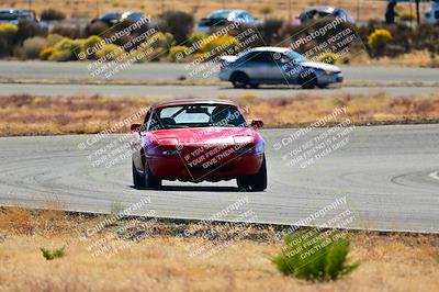 media/Nov-16-2024-Extreme Speed (Sat) [[6587d07cc4]]/Purple Group/Session 2 (Turns 3 and 5)/